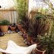 Balcoon paysagiste petit balcon boulogne cocon exotique