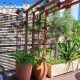 Balcoon paysagiste terrasse paris 12 arceaux bois grimpantes