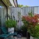Aménagement terrasse et balcon végétal matière vivante