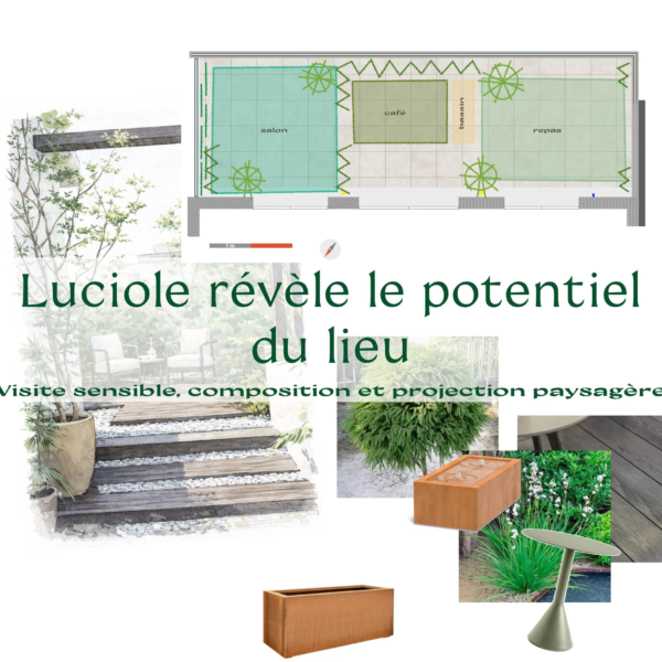 02 pollinisation