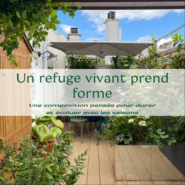 03 pollinisation