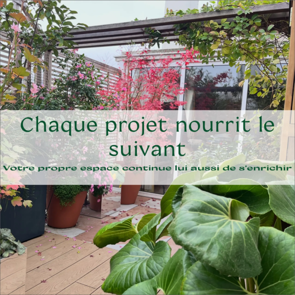 04 pollinisation